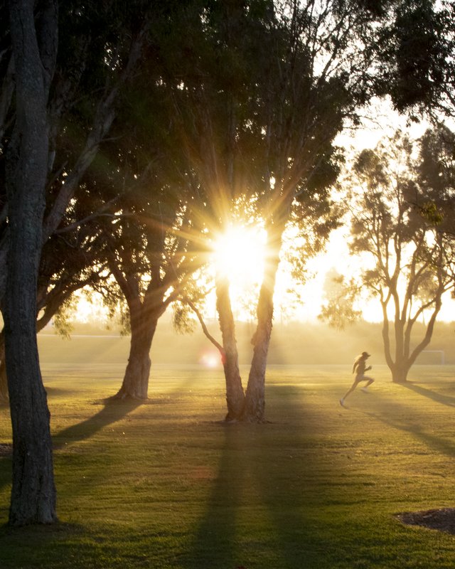 Runner at Dusk
